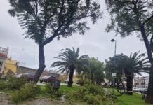 La borrasca Kristin dejó varias incidencias en la ciudad borrasca kristin