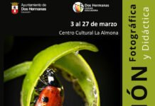 Minúsculos en la urbe, nueva exposición de insectos en La Almona minúsculos en la urbe