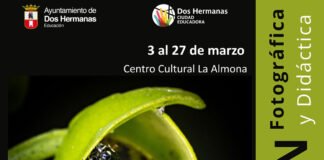 minúsculos en la urbe