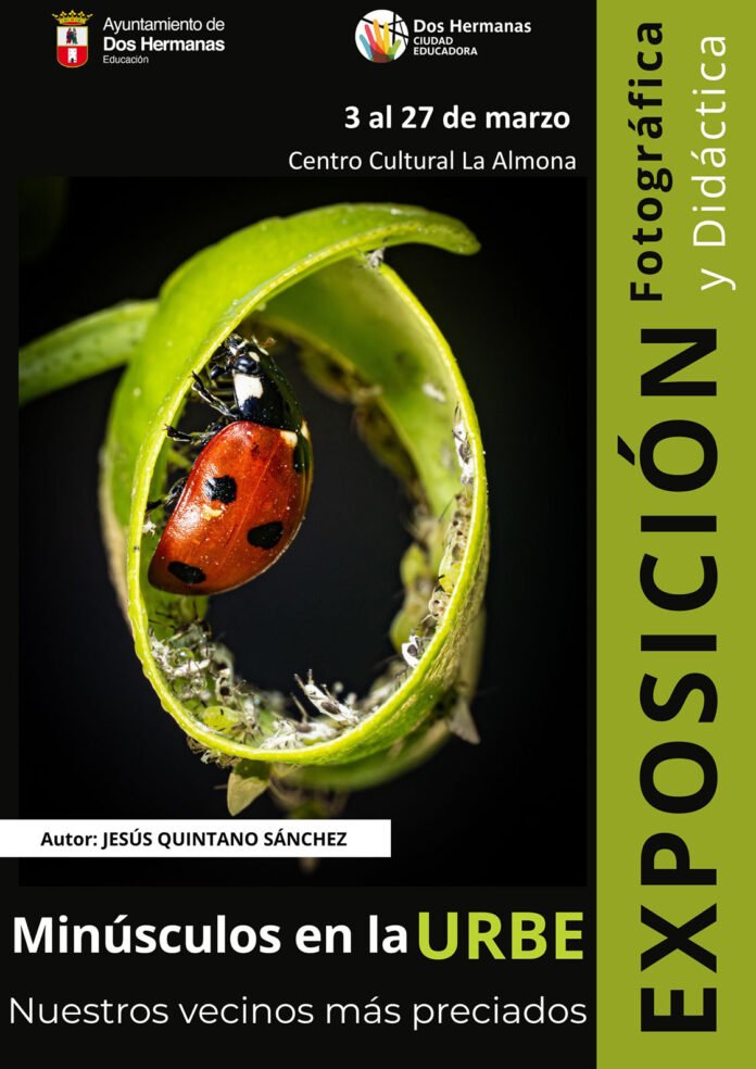 minúsculos en la urbe