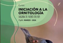 Curso de iniciación a la ornitología en la Laguna de Fuente del Rey curso de iniciación a la ornitología