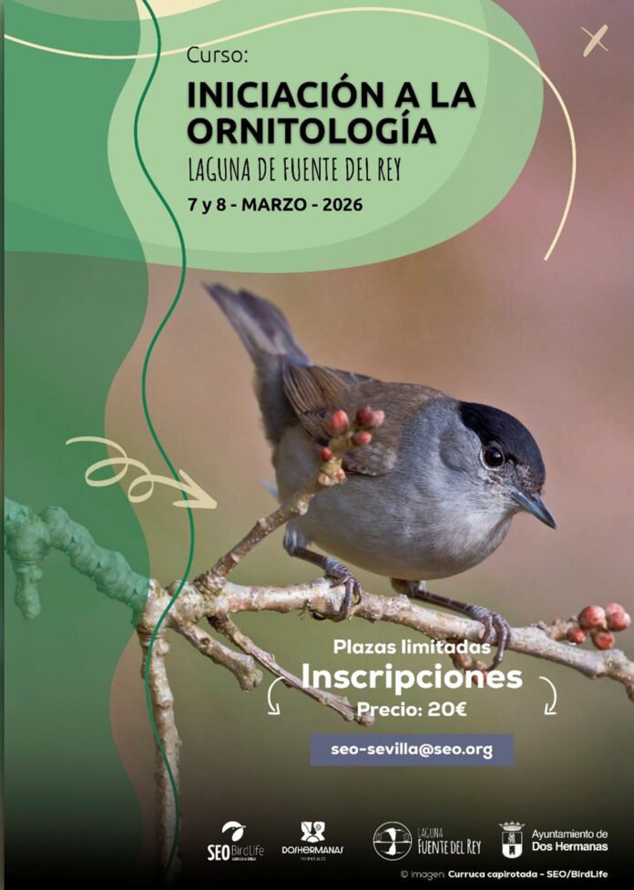 catel curso de iniciación a la ornitología curso de iniciación a la ornitología