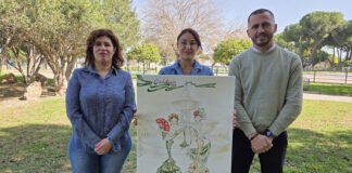 Programa de actos por el Día de Andalucía programa de actos