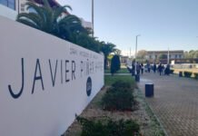 Nuevo domingo de carreras de caballos en el hipódromo nuevo domingo de carreras de caballos