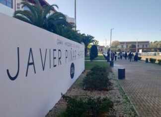 Nuevo domingo de carreras de caballos en el hipódromo nuevo domingo de carreras de caballos