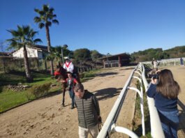 quinta jornada del año