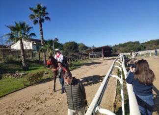 Quinta jornada del año en el hipódromo de Dos Hermanas quinta jornada del año