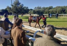 Sexta jornada del año en el hipódromo de Dos Hermanas sexta jornada del año