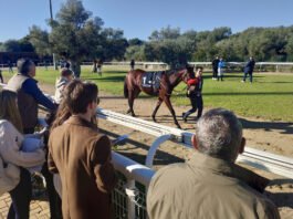 sexta jornada del año