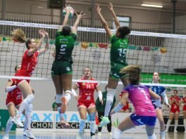 A un paso de las semifinales a un paso de las semifinales