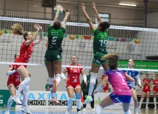 A un paso de las semifinales a un paso de las semifinales