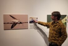 Recorrido por los minúsculos vecinos de la ciudad