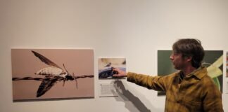 Recorrido por los minúsculos vecinos de la ciudad