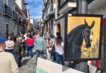 Más de 900 obras llenaron la muestra de artes plásticas al aire libre más de 900 obras