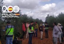 Explotación laboral de 45 extranjeros recogiendo mandarinas explotación laboral