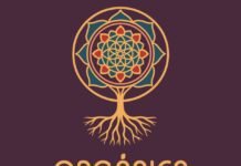 Organica Market: artesanía, arte y economía circular en La Alquería orgánica market