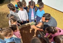 Actividad de colaboración sobre el cuidado de las plantas actividad de colaboración