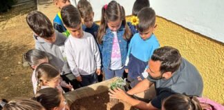 actividad de colaboración