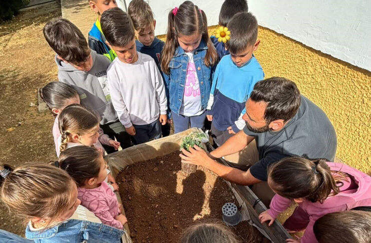 actividad de colaboración