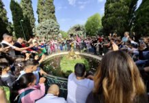 El Día del Pueblo Gitano como espacio de convivencia