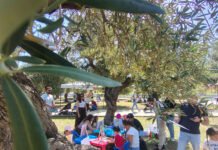 El Parque La Motilla recibe este domingo a Jugamos en Familia