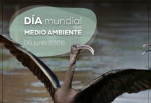Programación especial por el Día del Medioambiente en la laguna programación especial