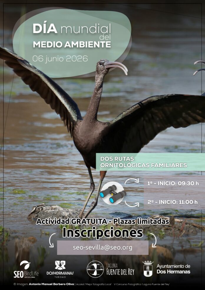 programación especial
