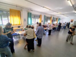 participacion en las autonómicas