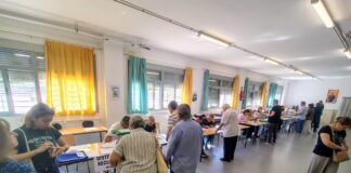 participacion en las autonómicas