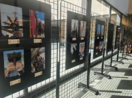 El Concurso fotográfico Pequeño Cofrade ya tiene finalistas concurso fotográfico pequeño cofrade