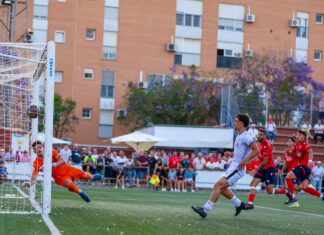 La final de Play Off espera al Dos Hermanas C.F. 1971 final de play off