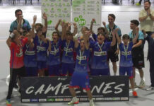 El alevín masculino se proclama campeón de Andalucía alevín masculino
