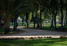 El Plan de Biosombra plantará unos 600 árboles en la ciudad plan de biosombra