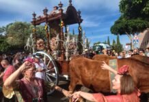 Los romeros de Montequinto caminan hacia al Rocío