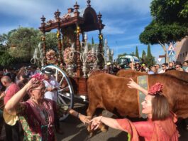 Los romeros de Montequinto caminan hacia al Rocío