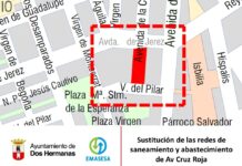 Obras de renovación de las redes en la Avenida Cruz Roja obras de renovación de las redes