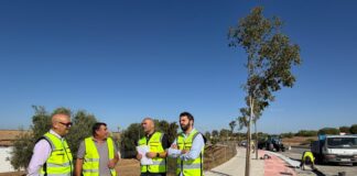El acerado del vial AV-63.1 hasta Montequinto alcanza el 50% de ejecución acerado