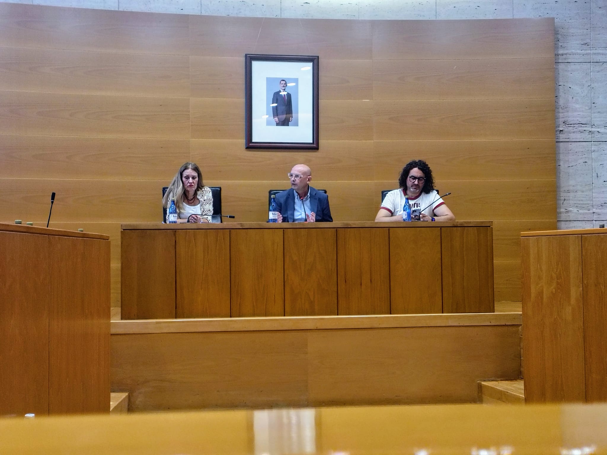 alcalde de dos hermanas pleno del ayuntamiento