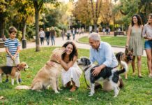 El Registro Municipal de Animales de Compañía sigue su desarrollo registro municipal de animales de compañía
