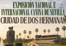 Exposición nacional e internacional canina en el hipódromo