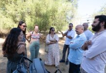 Parque de Estrellas para los bebés que se fueron antes de tiempo parque de estrellas