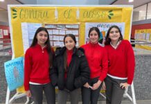 Proyecto Invisible: red de empatía contra el acoso escolar proyecto invisible