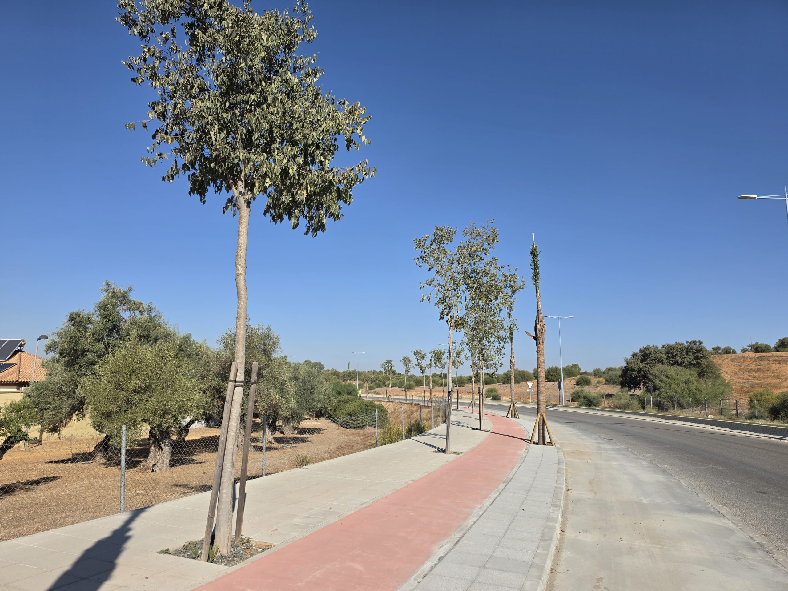 terminan las obras del tramo final de la carretera de montequinto obras de mejora