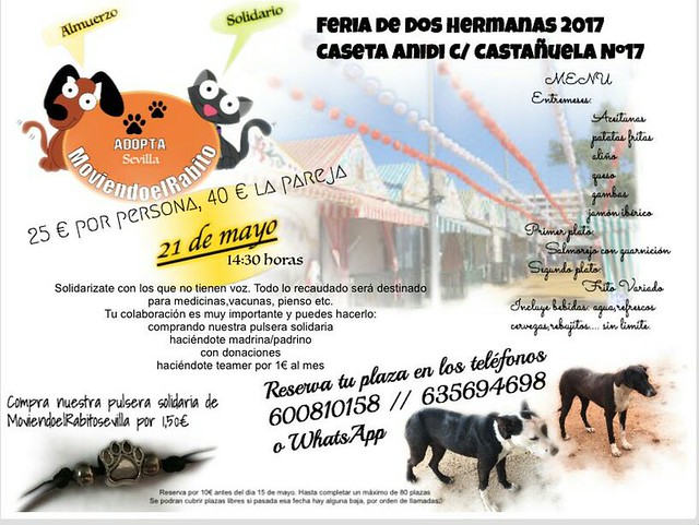 Cartel almuerzo solidario con los animales abandonados