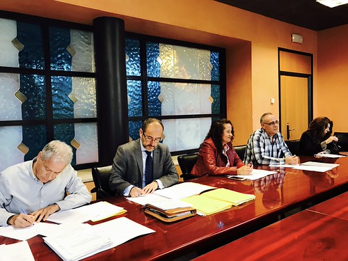 Comisión mixta de seguimiento de la concesión administrativa a la Universidad Loyola