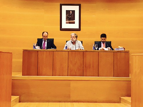Pleno ordinario de mayo del Ayuntamiento de Dos Hermanas