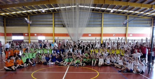 VII Campeonato de Pinfuvote de Primaria