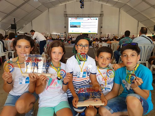 Colegio El Palmarillo concurso de educación vial en Linares