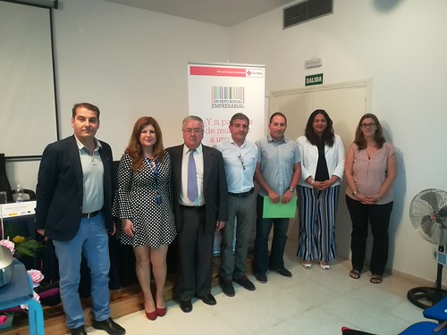 Cruz Roja organiza una mesa sectorial de la dependencia