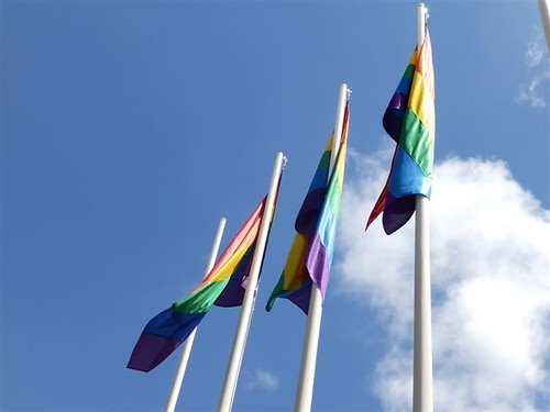 Día Mundial por los Derechos LGTBI en el mundo